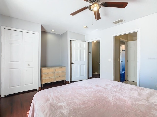 bedroom featuring ceiling fan, dark hardwood / wood-style flooring, and two closets