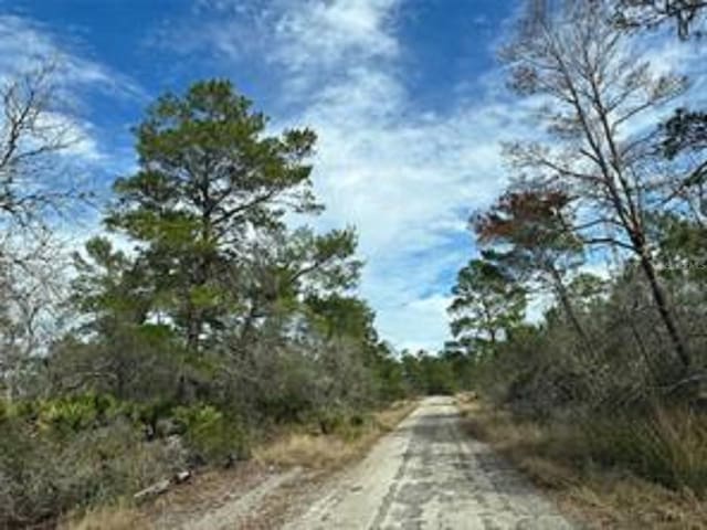 4508 Briarcliff Ave, Sebring FL, 33875 land for sale