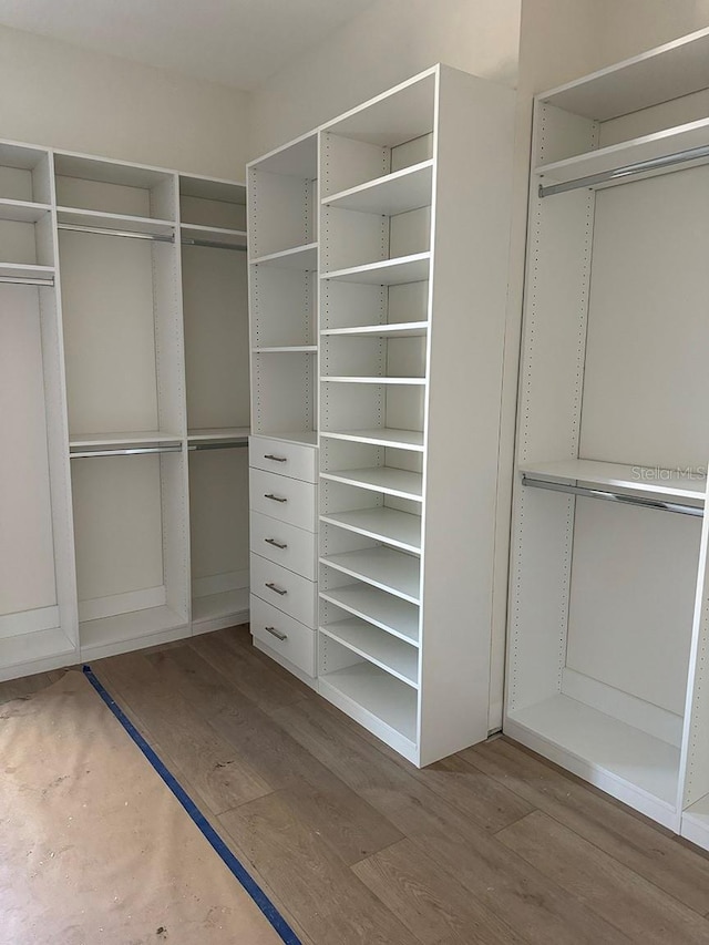 walk in closet featuring wood finished floors