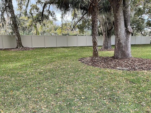 view of yard with a fenced backyard