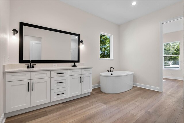 bathroom with a sink, a wealth of natural light, and wood finished floors