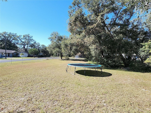 view of yard with a trampoline