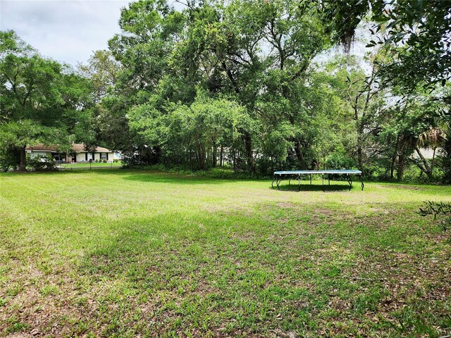 849 Orange Oak Dr, Orange City, FL 32763 - photo 18
