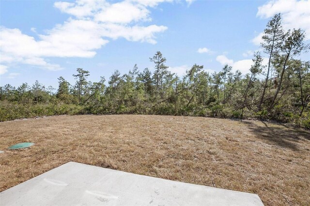 765 6th Ave, Osteen, FL 32764 - photo 36