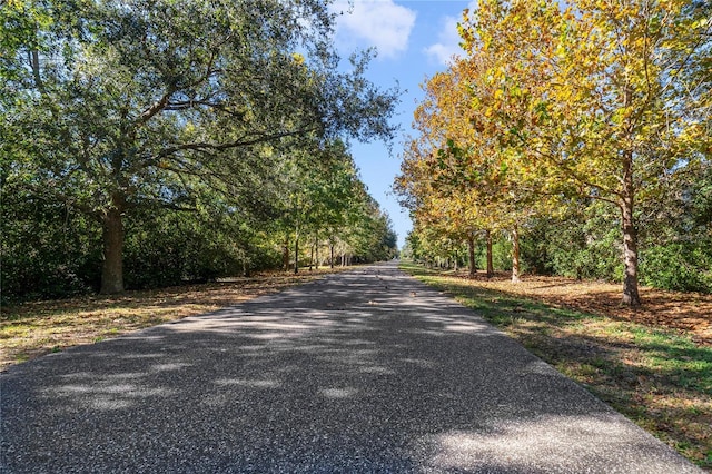 view of road