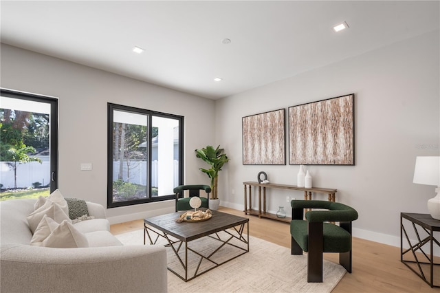 living room featuring light hardwood / wood-style flooring