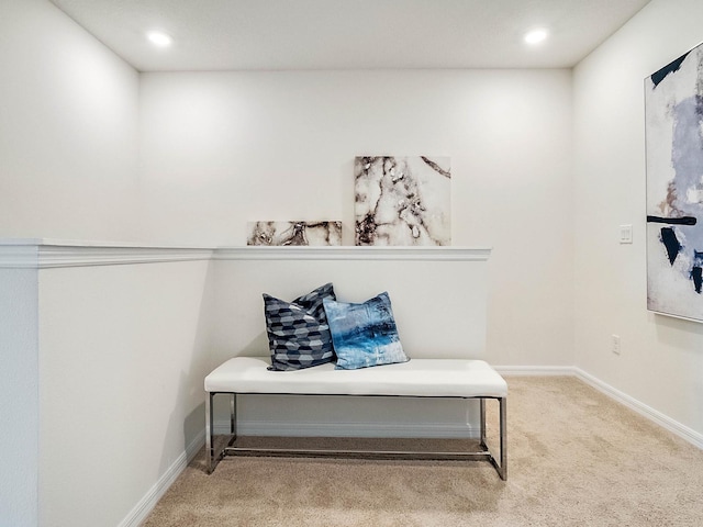 sitting room with light colored carpet