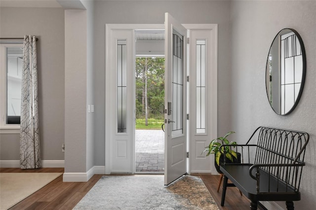 foyer with hardwood / wood-style flooring and plenty of natural light