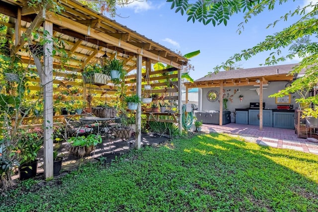 view of yard featuring a patio area and exterior kitchen