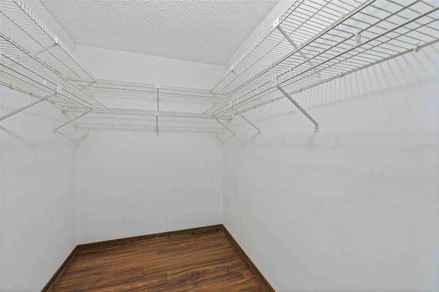 walk in closet featuring dark hardwood / wood-style floors