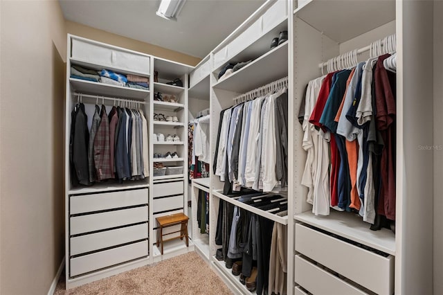 spacious closet featuring light colored carpet