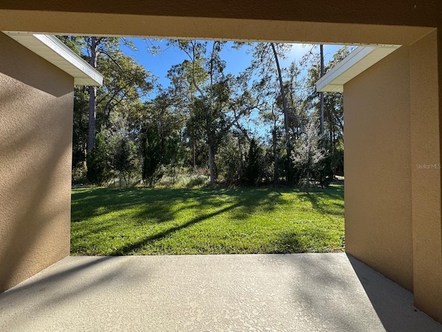 view of yard with a patio area