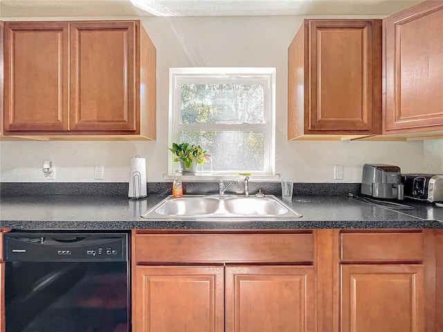 kitchen with black dishwasher and sink