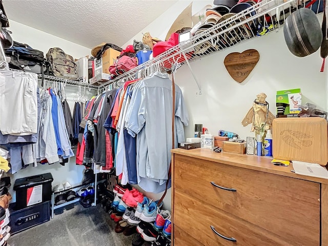 spacious closet with carpet