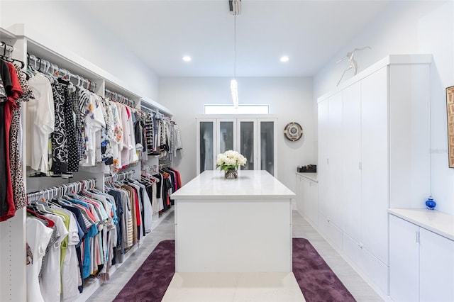 walk in closet with wood-type flooring