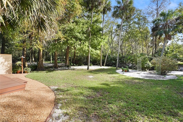 300 Spring Run Cir, Longwood, FL 32779 - view of grassy yard with a wooden deck