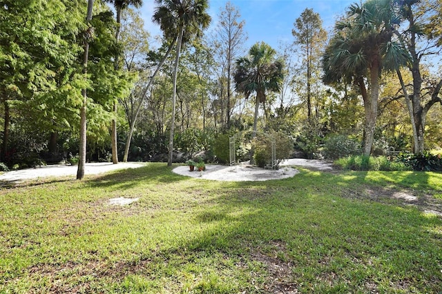 300 Spring Run Cir, Longwood, FL 32779 - view of grassy yard