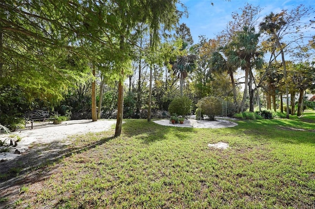 300 Spring Run Cir, Longwood, FL 32779 - view of grassy yard