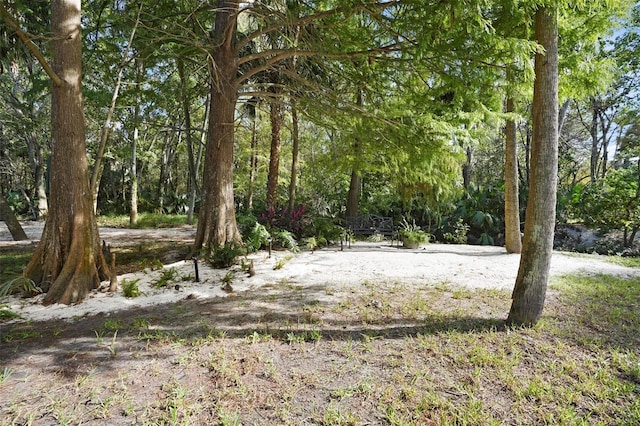 300 Spring Run Cir, Longwood, FL 32779 - view of undeveloped land