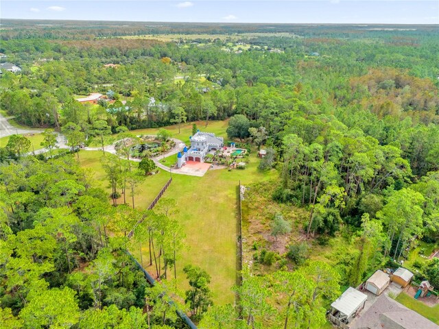 14502 Scotch Pine Ct, Orlando, FL 32832 - photo 16