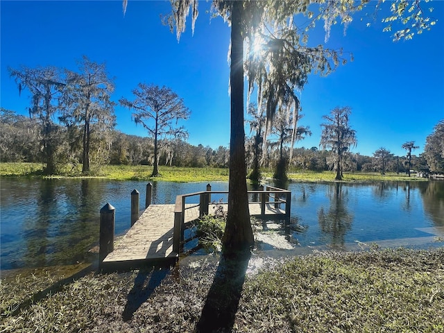 dock area with a water view