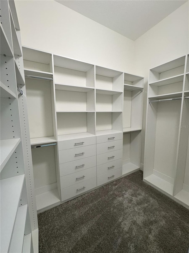 walk in closet with dark carpet