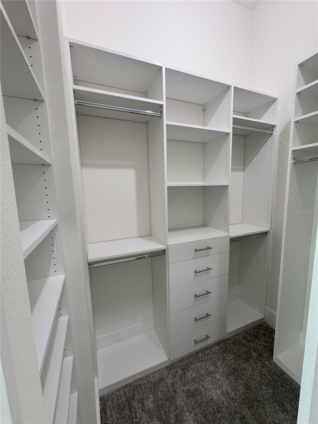 spacious closet featuring dark colored carpet