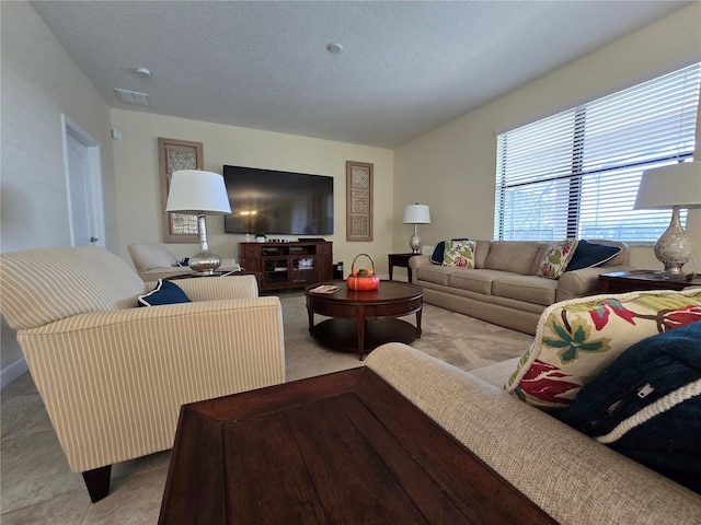 living room with a textured ceiling