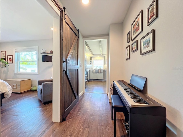 hallway featuring a barn door and dark hardwood / wood-style floors