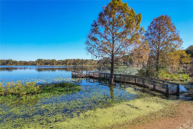 dock area with a water view