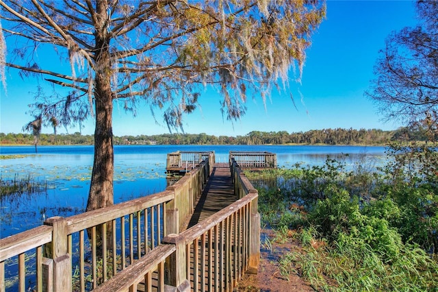 dock area featuring a water view