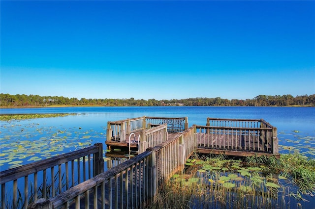 dock area with a water view