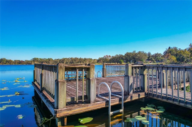 dock area featuring a water view