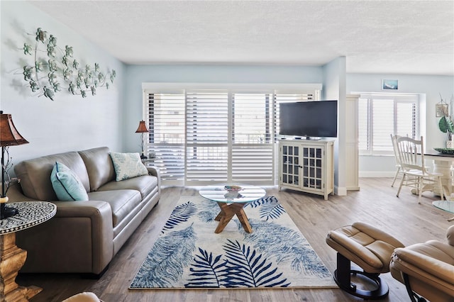 living room with plenty of natural light, wood-type flooring, and a textured ceiling