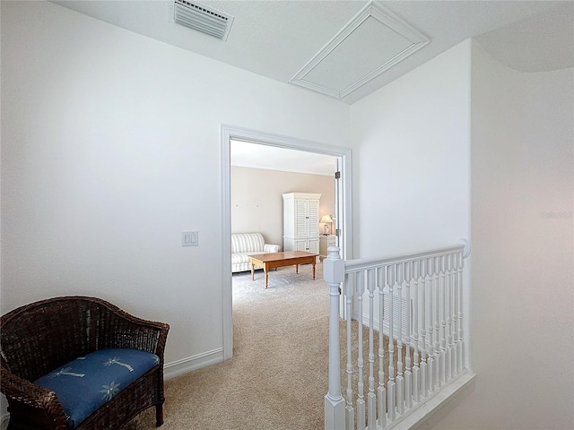 hallway with carpet floors