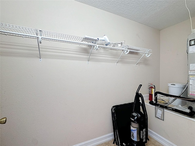 spacious closet with carpet floors