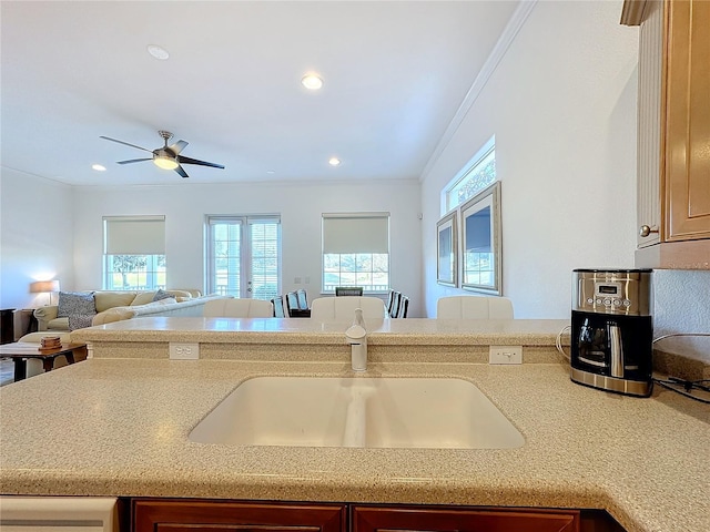 kitchen with ceiling fan, ornamental molding, and sink