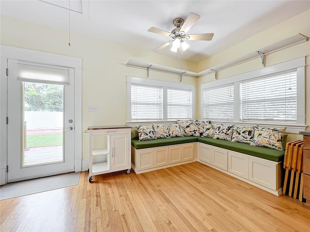 interior space featuring white cabinetry, light hardwood / wood-style flooring, and plenty of natural light