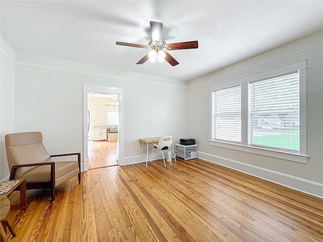 interior space featuring ceiling fan, light wood-type flooring, and a wealth of natural light