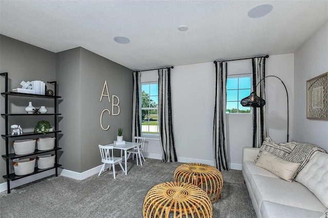 carpeted living room with a textured ceiling