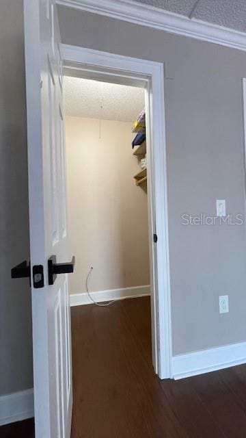 spacious closet with dark wood-type flooring