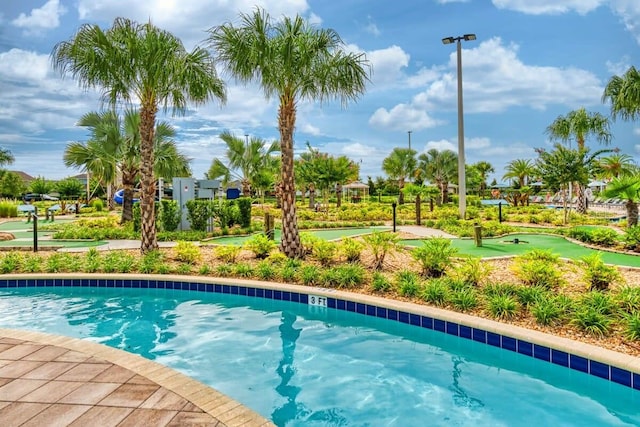 view of swimming pool