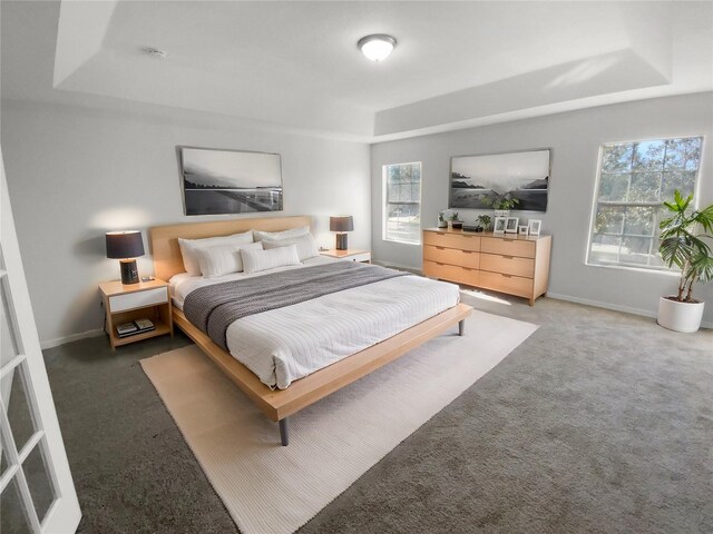 carpeted bedroom featuring a tray ceiling