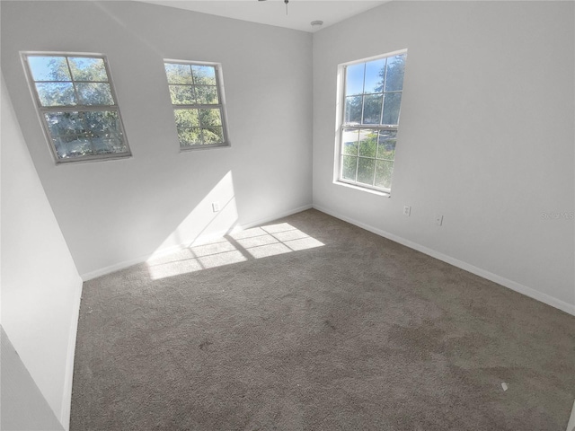 unfurnished room featuring carpet floors and plenty of natural light