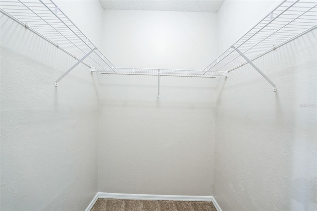 walk in closet with carpet