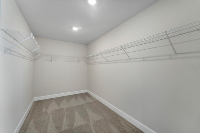 spacious closet with light colored carpet