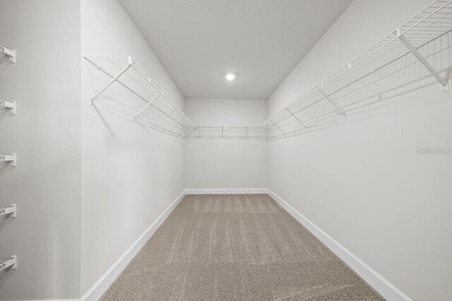 spacious closet with carpet floors