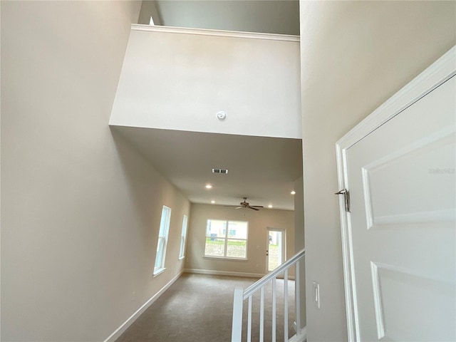 stairway featuring carpet and ceiling fan