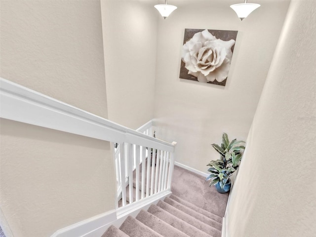 stairs featuring carpet flooring