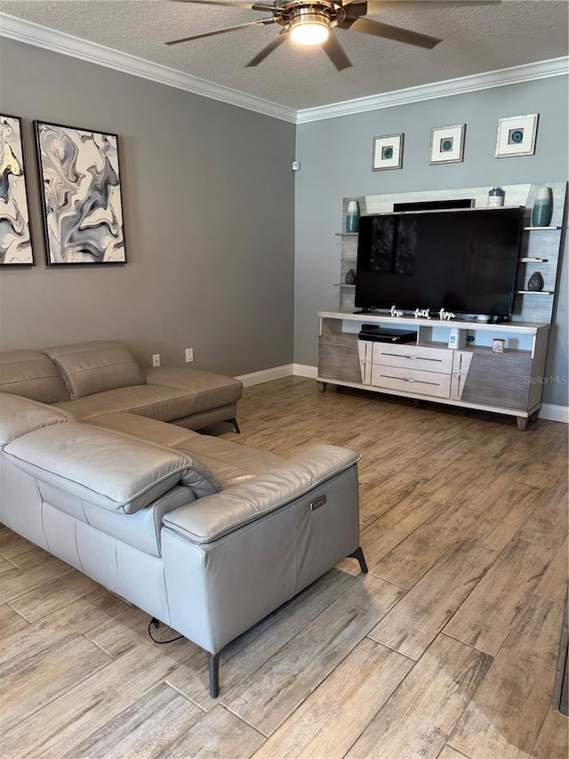 living room with crown molding, light hardwood / wood-style floors, and a textured ceiling